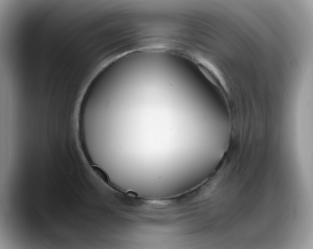 X0000088171483200705291922