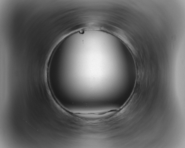 X0000088171484200705291922