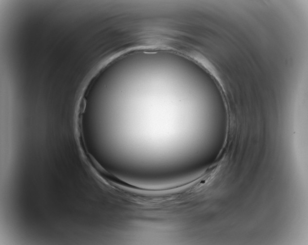 X0000088171485200705291922