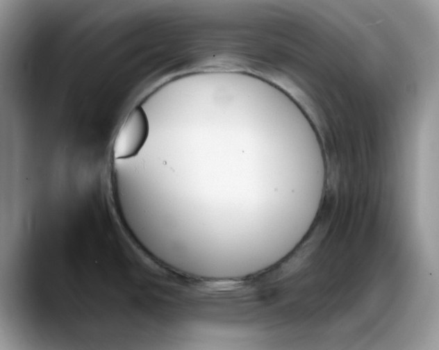 X0000088171486200705291922