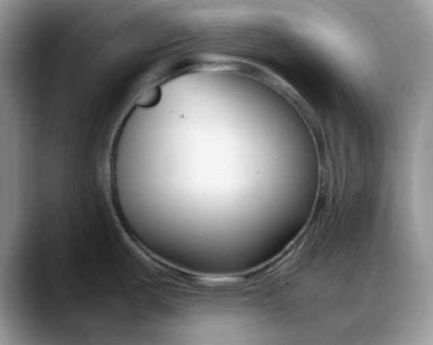 X0000088171487200705291922