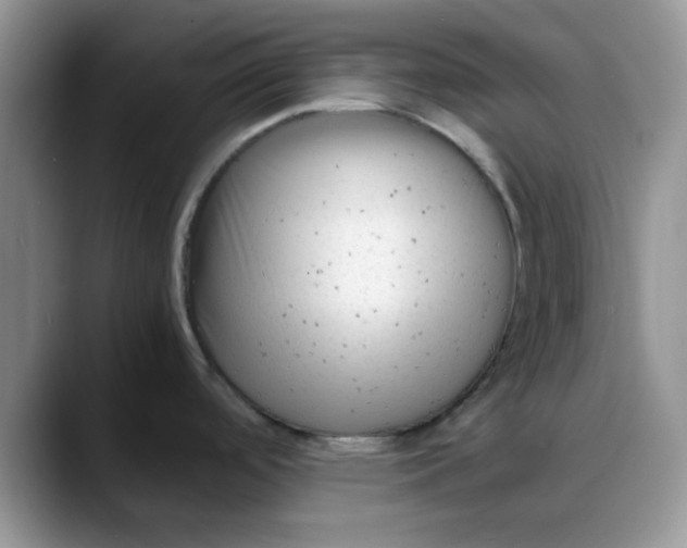 X0000088171488200705291922