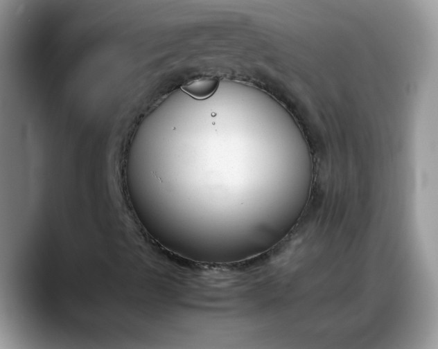 X0000088171489200705291921