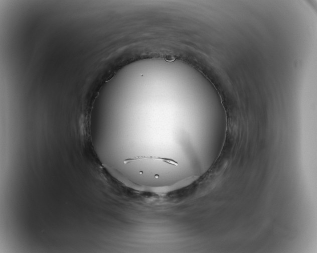 X0000088171490200705291921