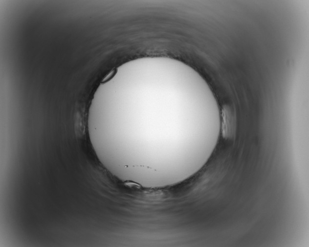 X0000088171491200705291921