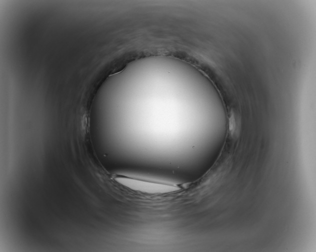 X0000088171492200705291921