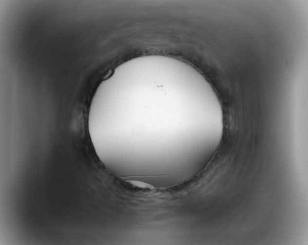 X0000088171493200705291921