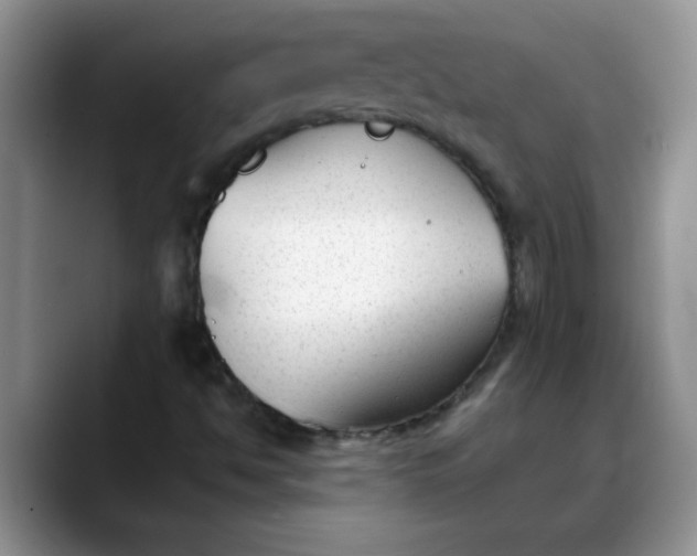 X0000088171494200705291921