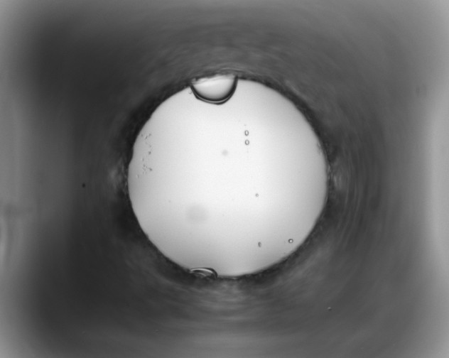 X0000088171495200705291921