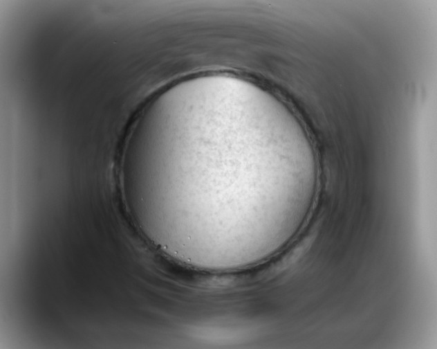 X0000088171497200705291921