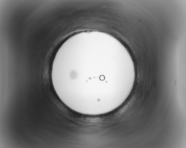 X0000088171498200705291921