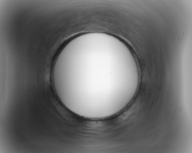 X0000088171499200705291921