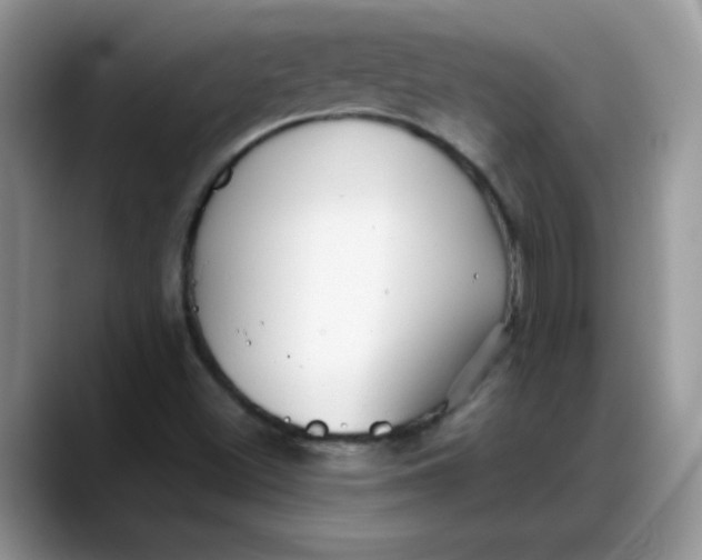 X0000088171500200705291921