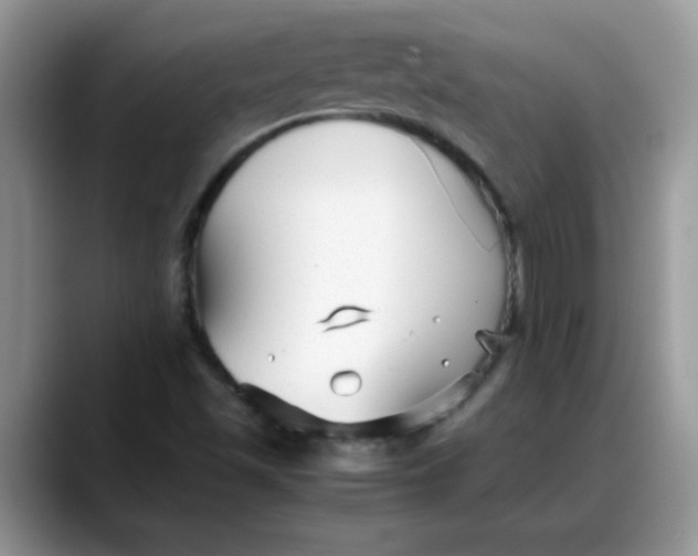 X0000088171501200705291921