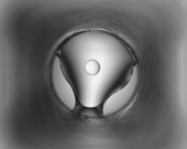 X0000088171502200705291921