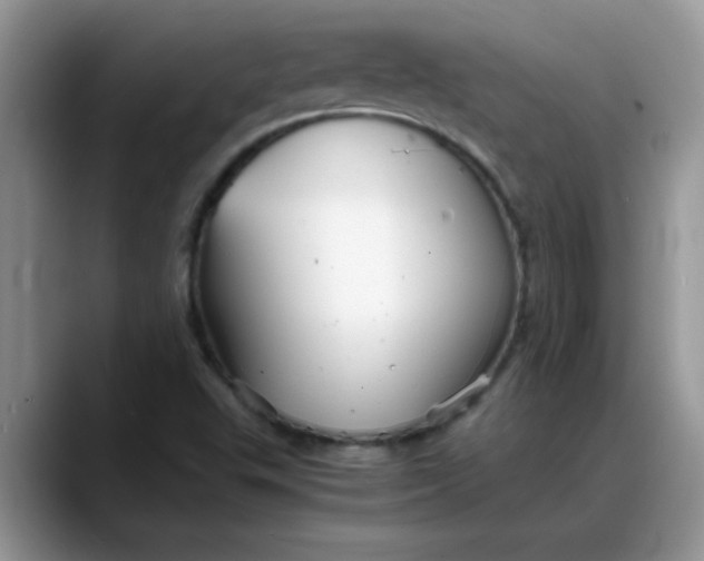 X0000088171503200705291921