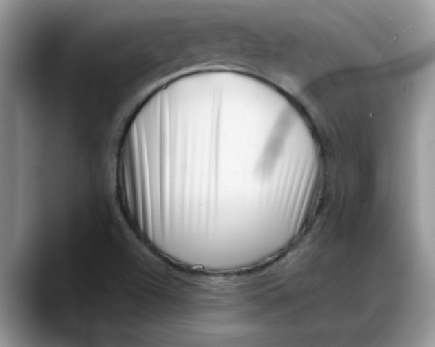 X0000088171504200705291921