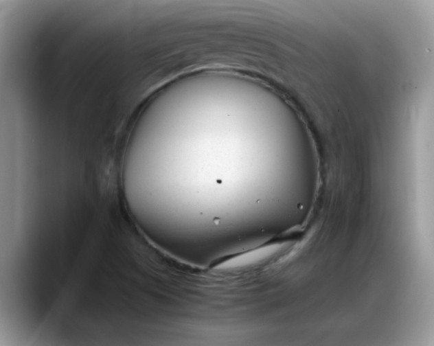 X0000088171505200705291921