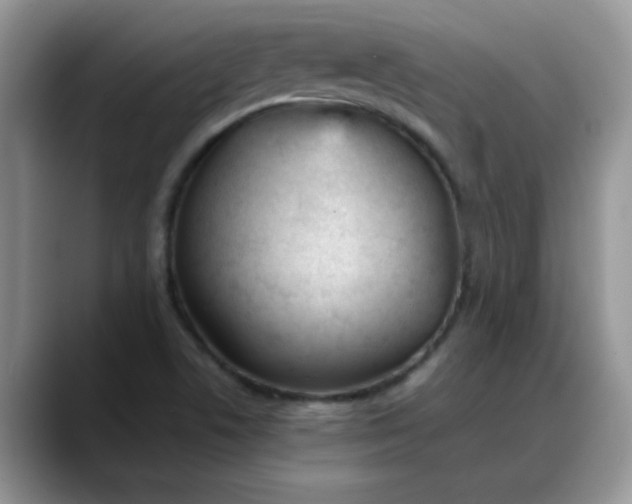 X0000088171506200705291921