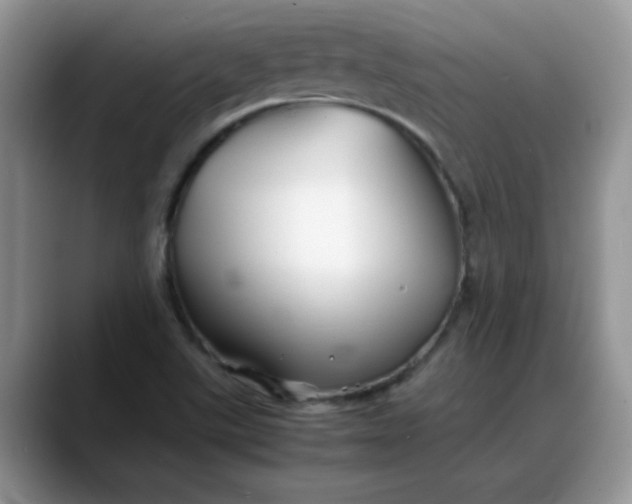 X0000088171507200705291921