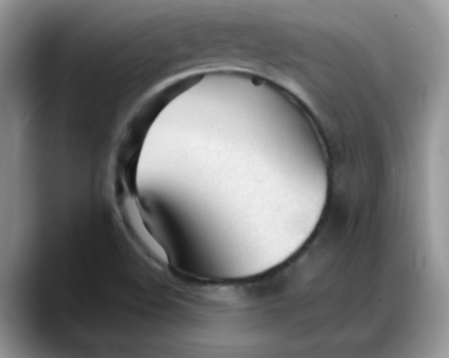 X0000088171508200705291921