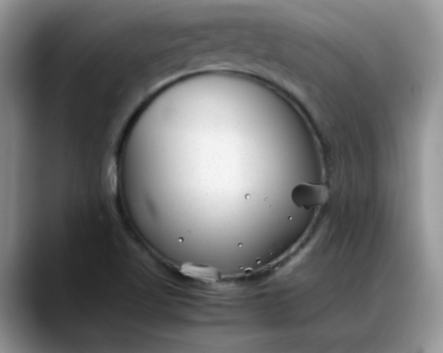 X0000088171509200705291921