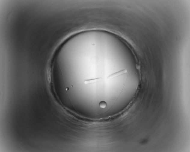 X0000088171510200705291921