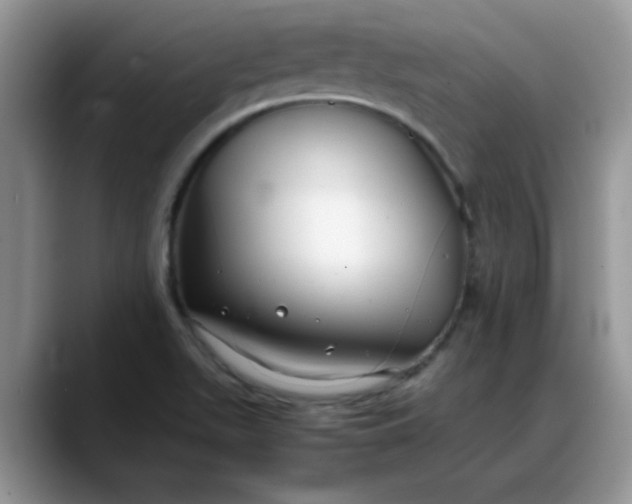 X0000088171511200705291921