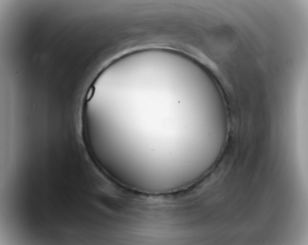 X0000088171512200705291921