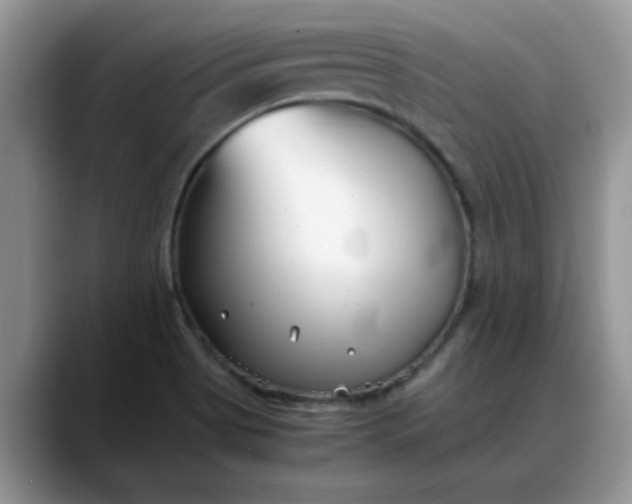 X0000088171513200705291921