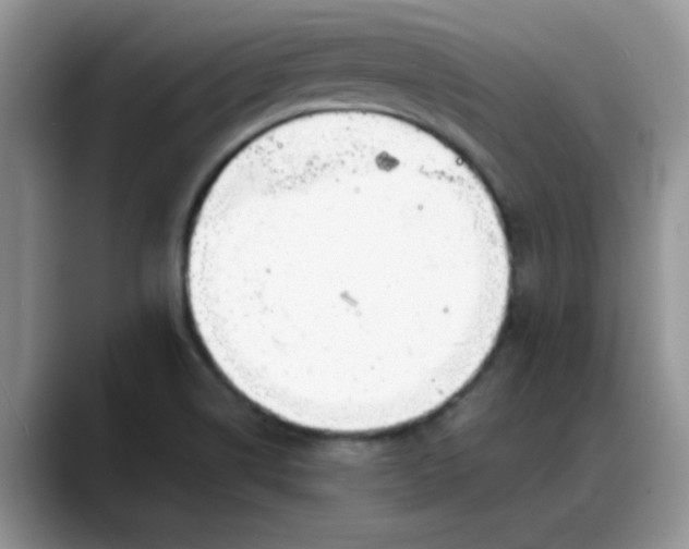 X0000088171514200705291921