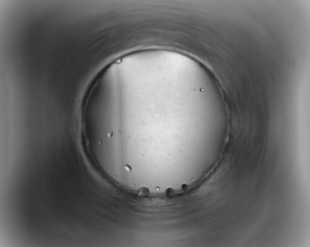 X0000088171515200705291921