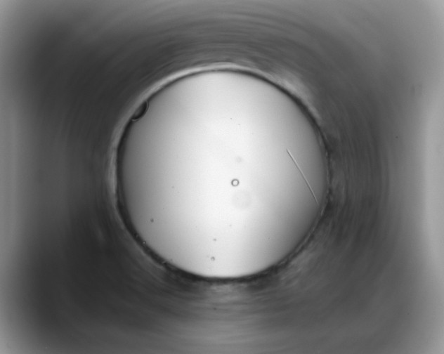 X0000088171516200705291921