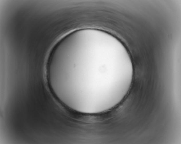 X0000088171517200705291921