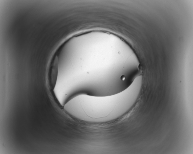 X0000088171518200705291921