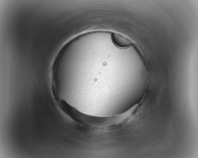 X0000088171519200705291921