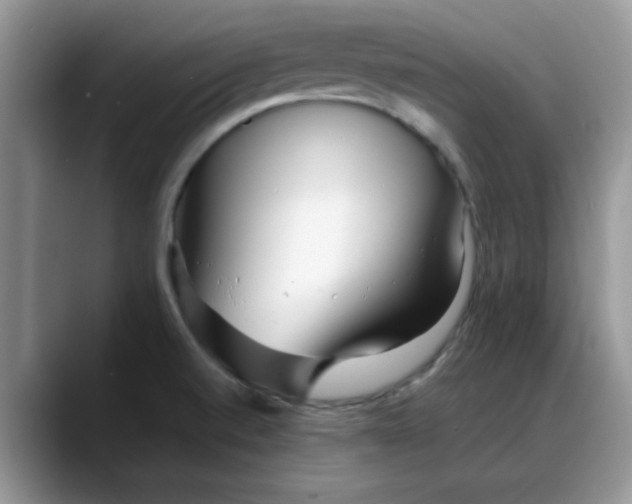 X0000088171520200705291921