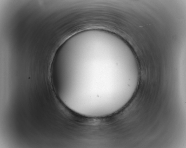 X0000088171521200705291921