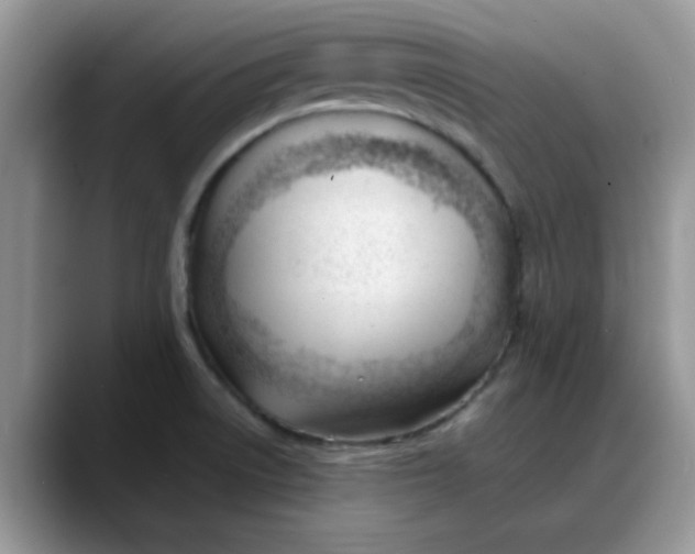 X0000088171522200705291921