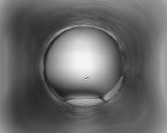 X0000088171523200705291921