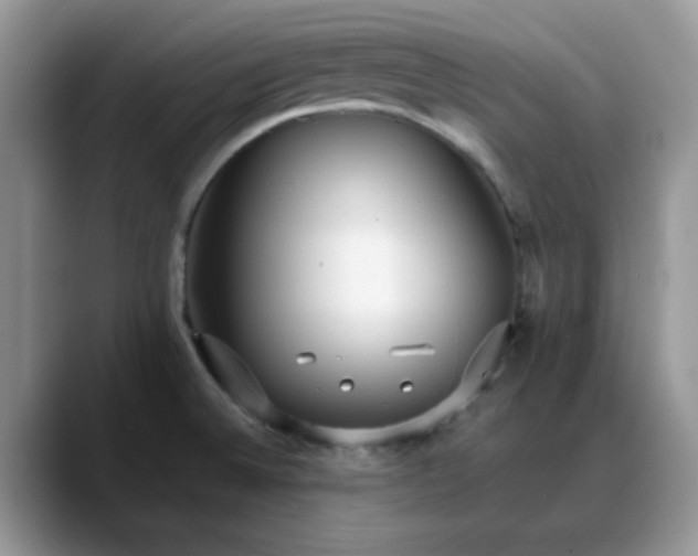 X0000088171524200705291921