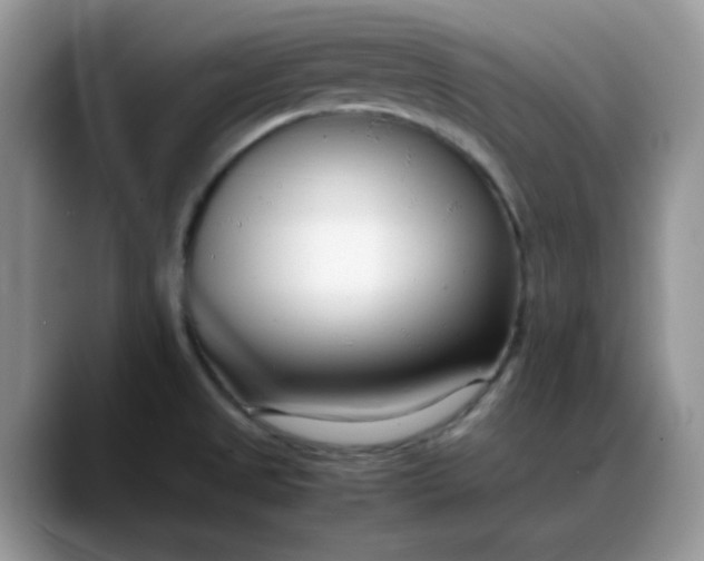 X0000088171525200705291921