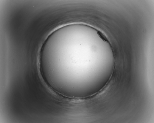 X0000088171526200705291921