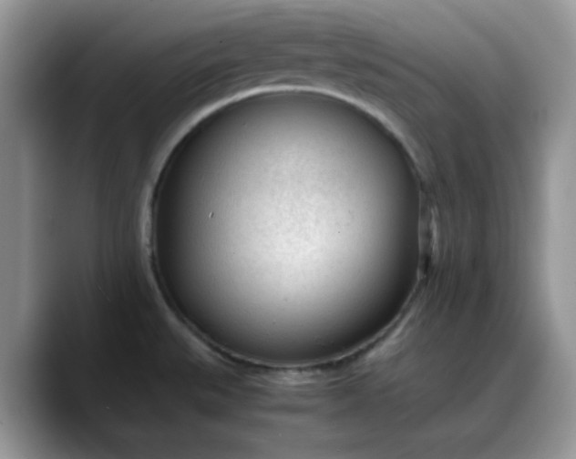 X0000088171527200705291921