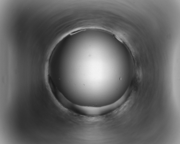 X0000088171528200705291921