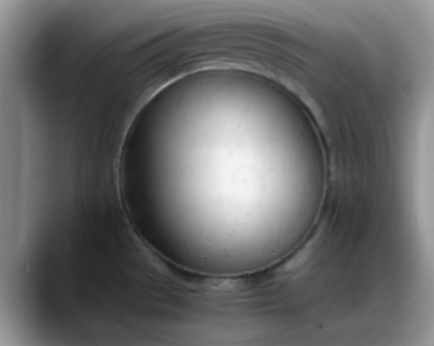 X0000088171529200705291921