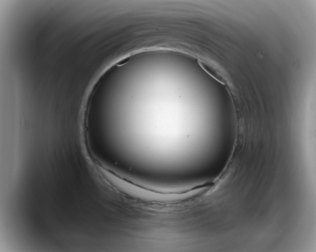 X0000088171530200705291921