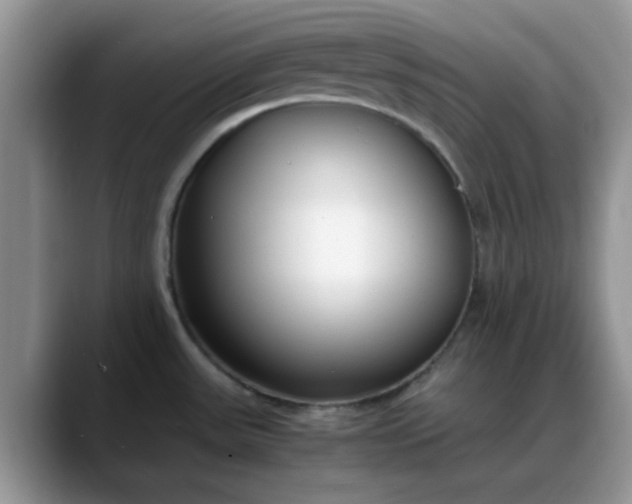 X0000088171531200705291921