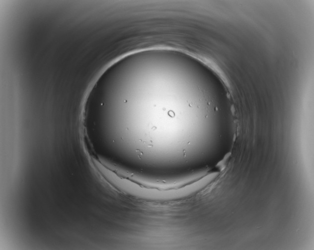 X0000088171532200705291921