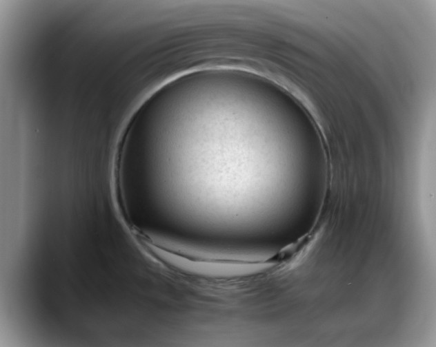 X0000088171533200705291921